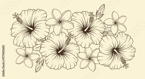 Elegant floral arrangement with hibiscus and plumeria blossoms outline