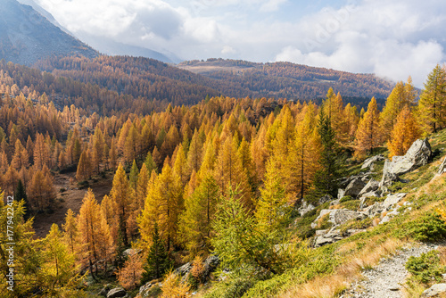 Foliage all'alpe Prabello in Valmalenco in autunno