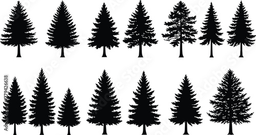 tree, silhouette, conifer, pine, fir, spruce, evergreen, forest, nature, vector, cad, drawing, flat, black, illustration