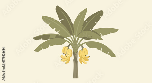 Stylized Banana Tree with Ripe Fruit in an Isolated Tropical Setting
