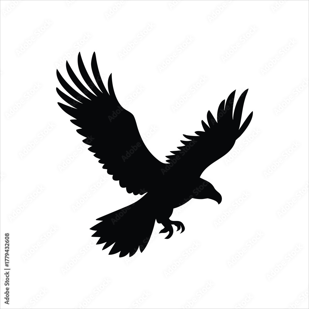 Obraz premium Majestic bald eagle soaring in the sky silhouette