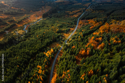 Top down aerial view of a car driving through autumn colour forest, casting long shadows in the Wicklow Mountains