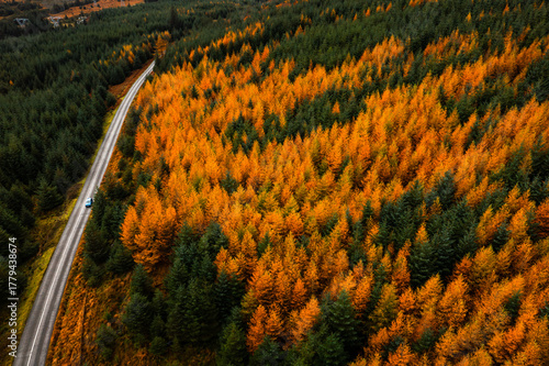 Scenic aerial view of a winding mountain road with cars surrounded by autumn forest colours in Wicklow, Ireland.