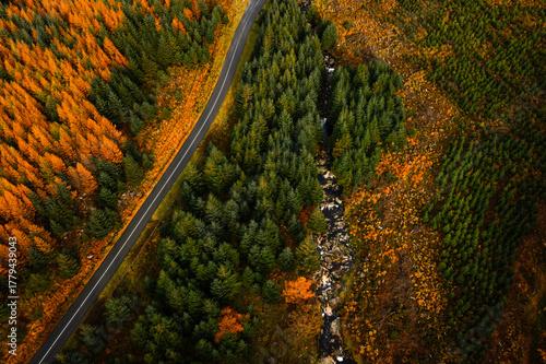 Top down aerial view of The River Annalaka flowing through the orange larch and green spruce forest in the Wicklow Mountains	
