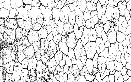 Dry cracked old wood bark and wall textures with an abstract earth pattern suggesting drought and natural grunge