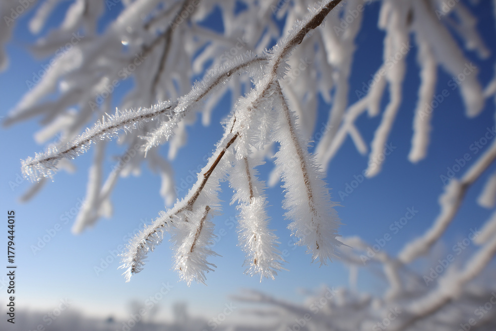 Obraz premium Hoarfrost on bare tree branches, intricate ice crystals, morning after fog, magical natural art