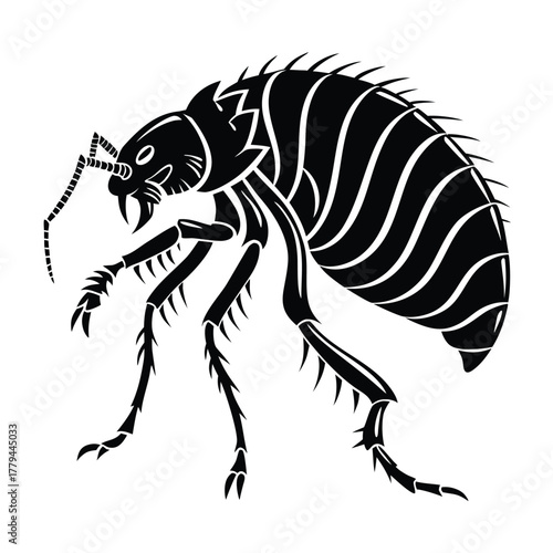 Detailed black and white illustration of a flea insect with striped body and spiky legs