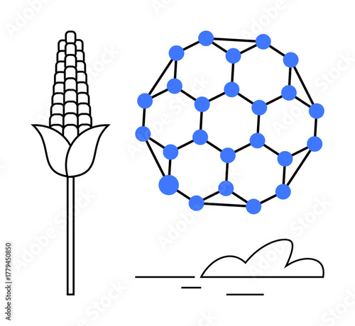 Corn plant beside a molecular structure symbolizing sustainable science, biotechnology, and nanotechnology. Ideal for innovation, agriculture, renewable energy, bioengineering, chemistry, research