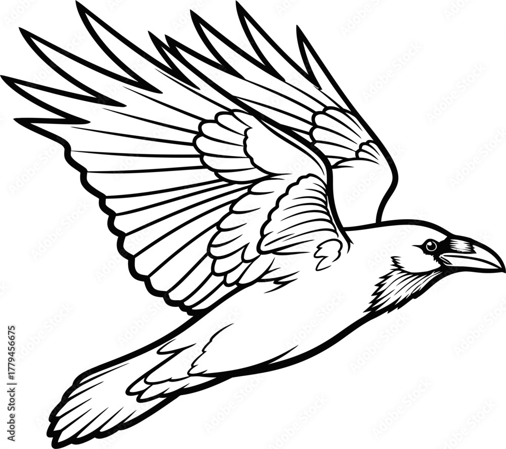 Obraz premium Black and White Raven Flying Silhouette Vector Illustration