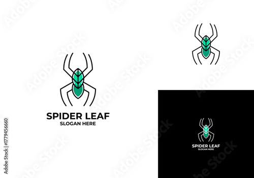Spider leaves dual meaning logo, minimalist outline spider vector illustration template