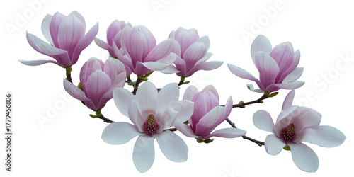 Winner background with golden, silver and bronze laurel wreaths with ribbons on round 3 pedestal isolated on white background