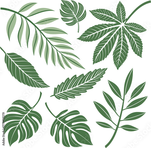 green-leaves-big-vector-collection---set-of-graphic design