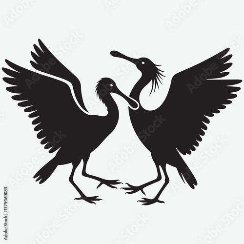 Two Black Ibis Birds Silhouetted with Wings Spread in a Dance