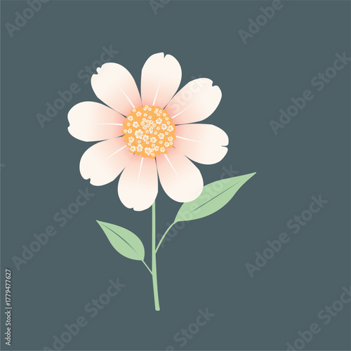 Single blooming flower.