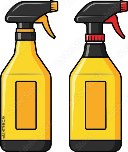 graduation cap and diploma