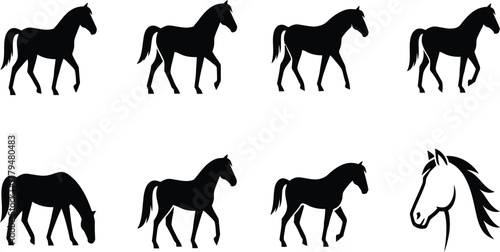 Horse silhouettes set, walking, standing, grazing poses, equine icons, black vector collection, pony head logo, isolated on white background