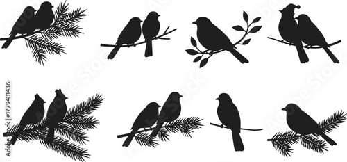 Black bird silhouettes perched on branches, romantic couple birds, singing sparrows, nature love concept, minimalist vector art for decoration
