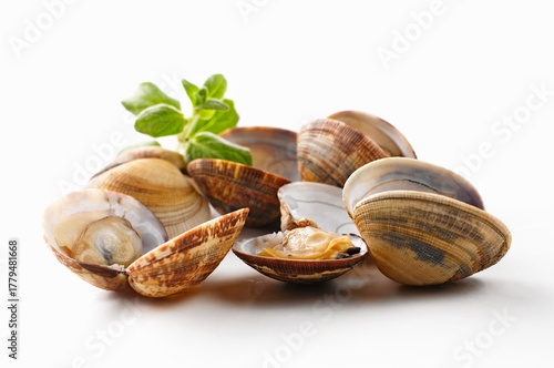 venus Muscheln, Kraut,weiss,niemand, food,vongole