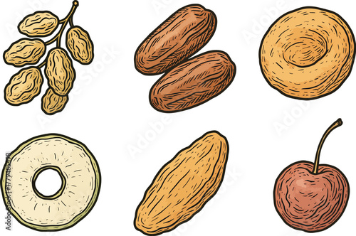 Hand-drawn dried fruits and nuts illustration with raisin date almond cherry and dried apple slice