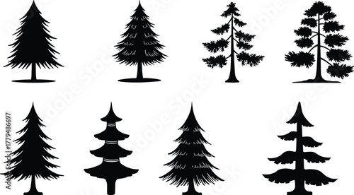 Conifer tree silhouettes, evergreen pine forest shapes, fir spruce cedar collection, isolated botanical design, nature vector set, flat illustration graphic