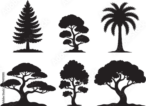 Silhouettes of six different types of trees on a white background nature forest