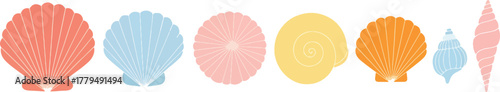 Collection of colorful seashells in a row, perfect for summer designs