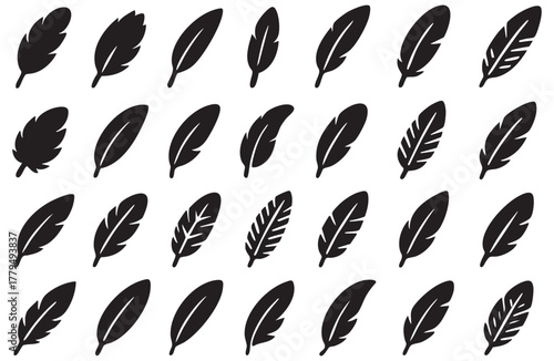 Elegant black feather silhouettes arranged on a white background for artistic design elements
