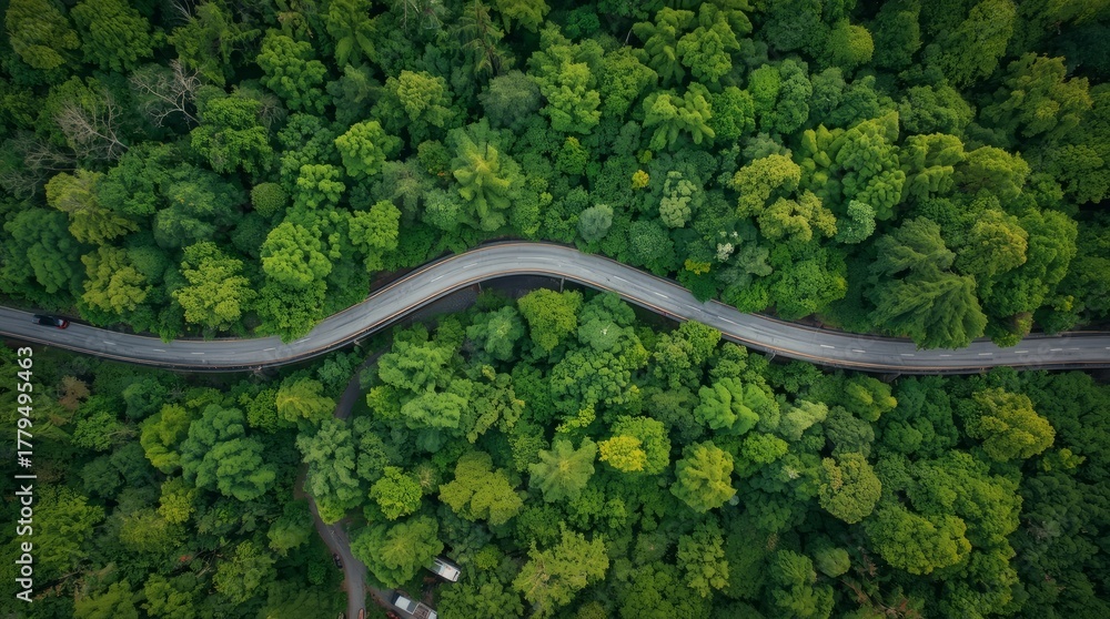 Naklejka premium Aerial view of road in the middle of the forest , Top view road curve construction up to mountain, Rainforest ecosystem and healthy environment concept