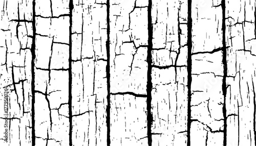 Abstract black and white closeup of weathered wood with radial cracks texture. Black and white wood cracks texture on a transparent background.