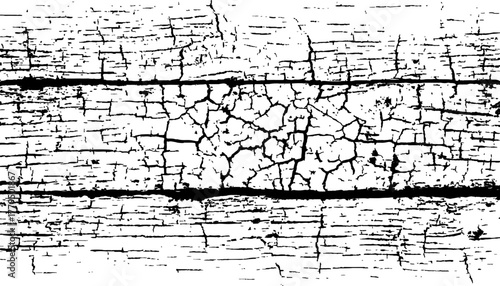 Abstract black and white closeup of weathered wood with radial cracks texture. Black and white wood cracks texture on a transparent background.