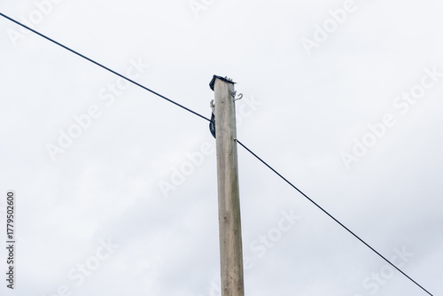 Wallpaper Mural A tall wooden pole with a black box on top of it Torontodigital.ca