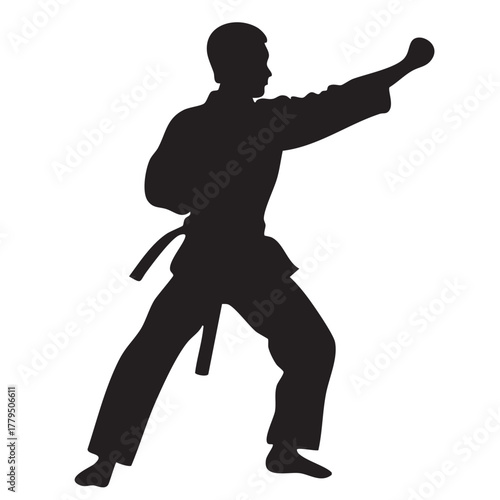 Taekwondo Martial Arts Silhouettes on White Background Vector Fully Editable Smart Object Text Effect