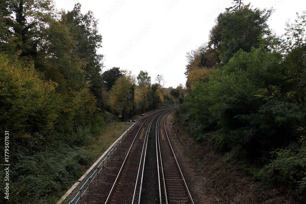 Obraz premium railway in the countryside