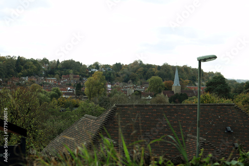Godalming View