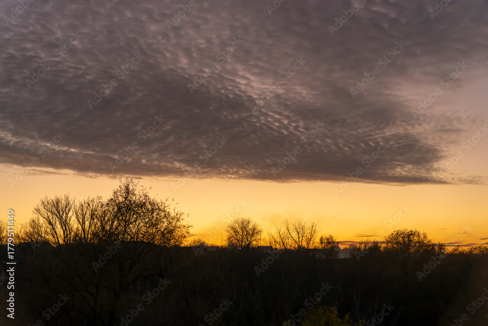 Fototapeta premium Cloudy sky above sunset horizon with silhouettes of trees. Outdoor landscape photography. Evening sky and weather concept.