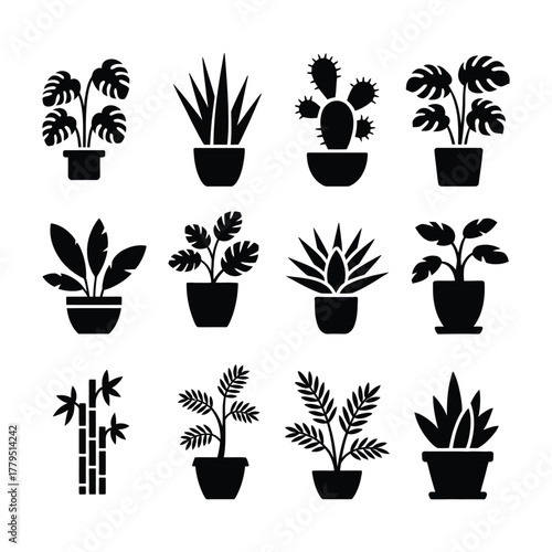 Collection of twelve different potted houseplant silhouettes in black and white on a white background. houseplant silhouette icon set.