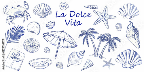 La dolce vita collection of summer beach vacation elements with palm trees and seashells