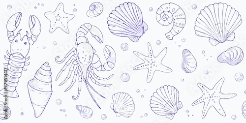 Hand drawn seamless pattern of marine life and seashells with bubbles