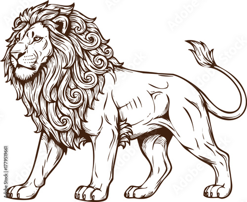 An engraving art style illustration detailed sketch of a majestic lion with a flowing mane, walking confidently