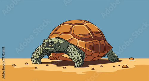 Cartoon tortoise on a sandy plain