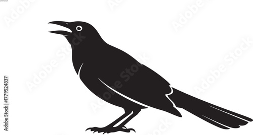 Black Silhouette of a Crow with Open Beak bird white background