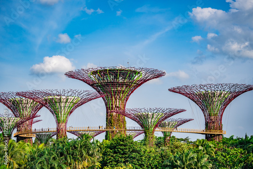 Foto Supertrees Grove at Gardens by the Bay in Singapore under clear sky