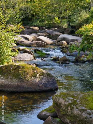 Sunlit River Aven tumbles over mossy granite boulders amid lush woodland in Pont-Aven, Brittany, France. A natural scene ideal for travel and nature themes.