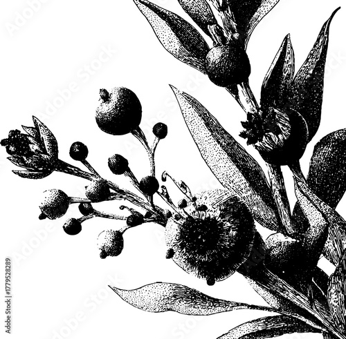 Cuadro en lienzo botanical flower and leaf silhouette set with elegant black and white natural pl