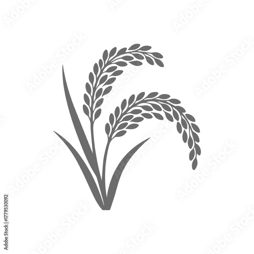 Stylized Rice Plant Silhouette with Grains
