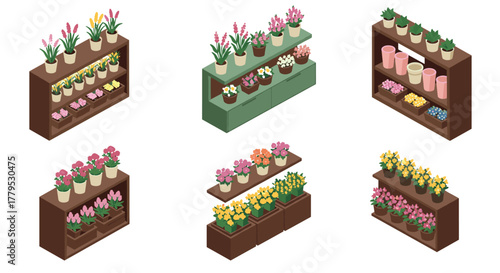 Isometric flower shelves with colorful potted plants for modern interior decor