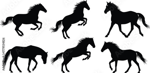 Collection of Horse Silhouettes in Motion