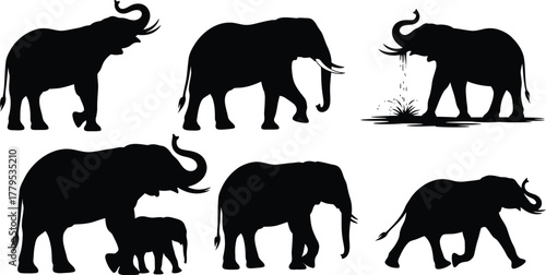Six Silhouette Elephants Different Poses and Actions