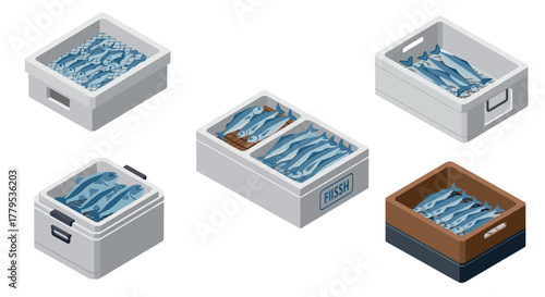 Isometric fish boxes seafood packaging collection with sardines and mackerel