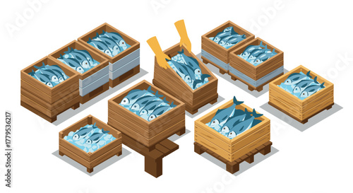 Isometric crate display of fresh fish in wooden boxes for market and seafood industry